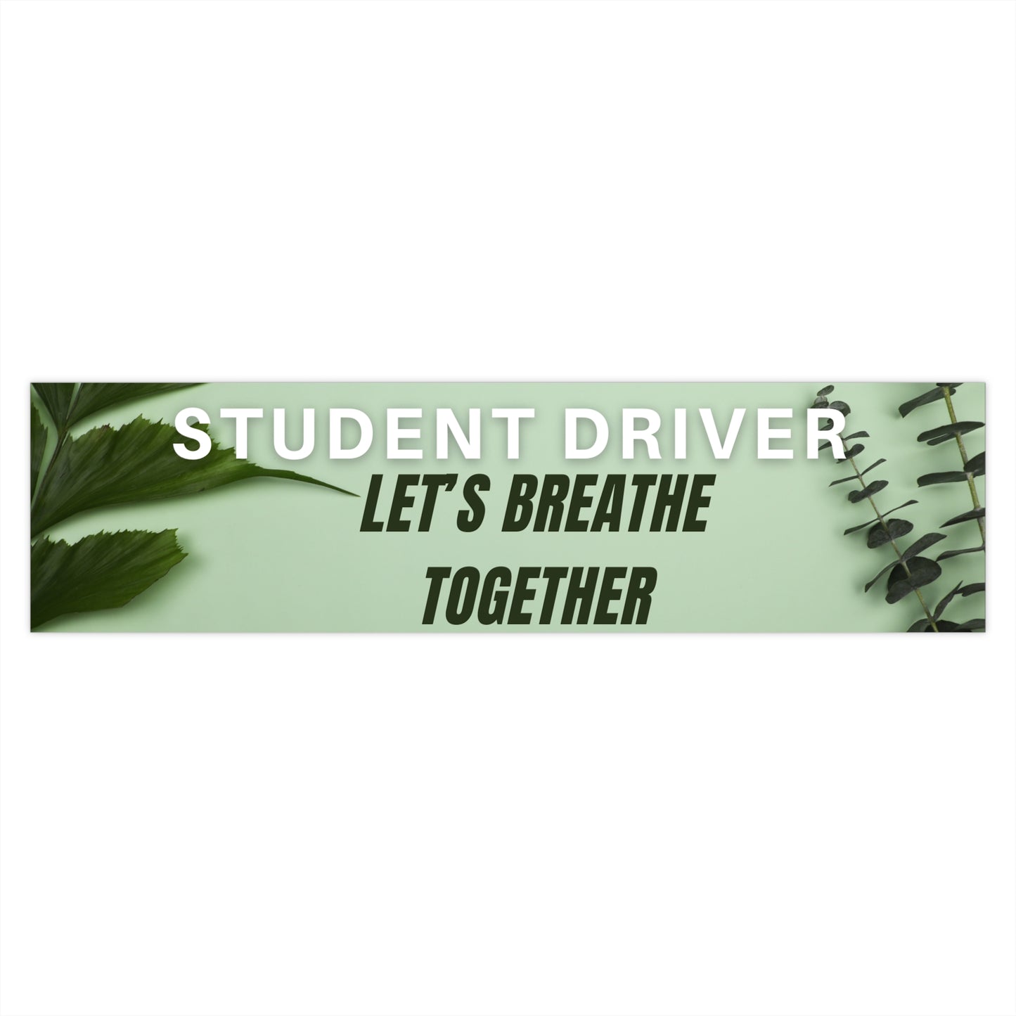 Student Driver - Breathe